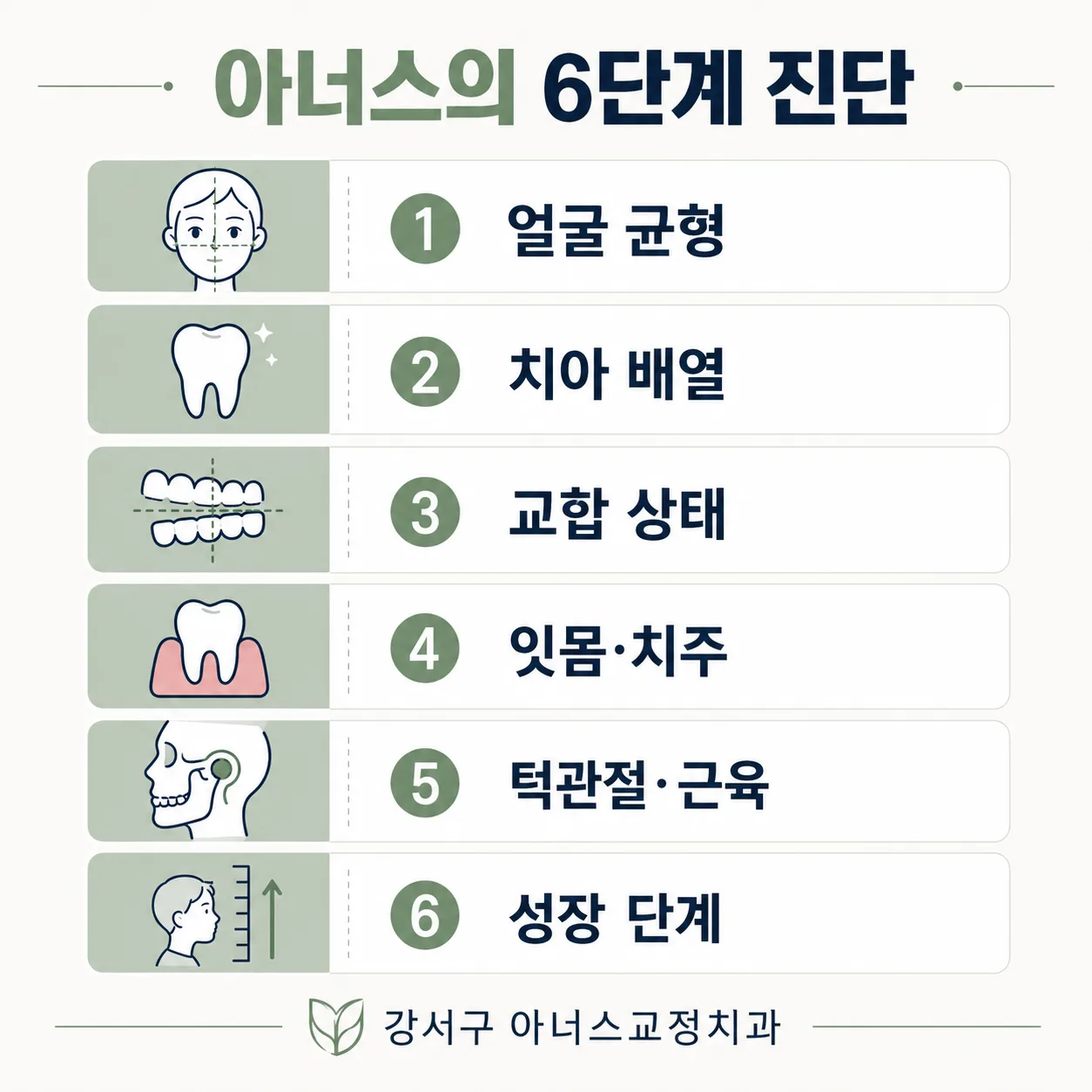 강서구 치아교정 인포그래픽