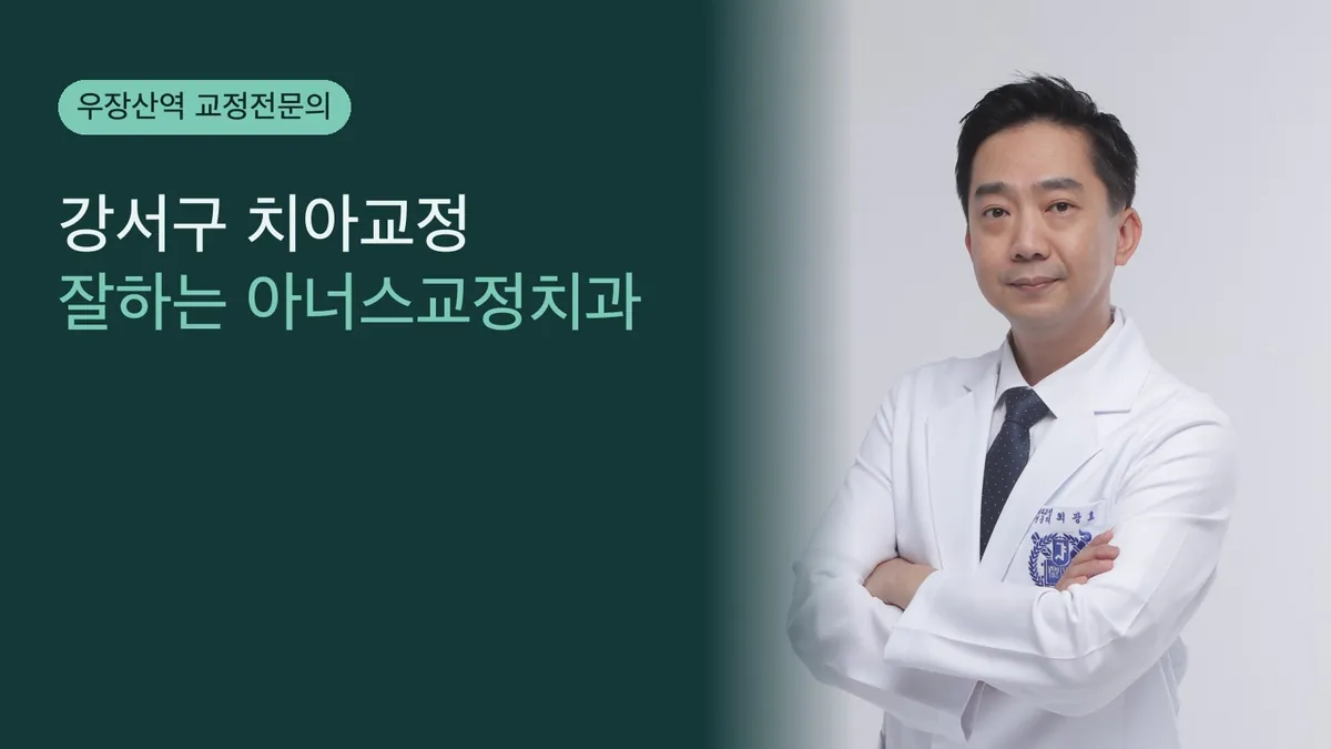 강서구 치아교정 잘하는 아너스교정치과 — 진단·치료·운영 방식 정리
