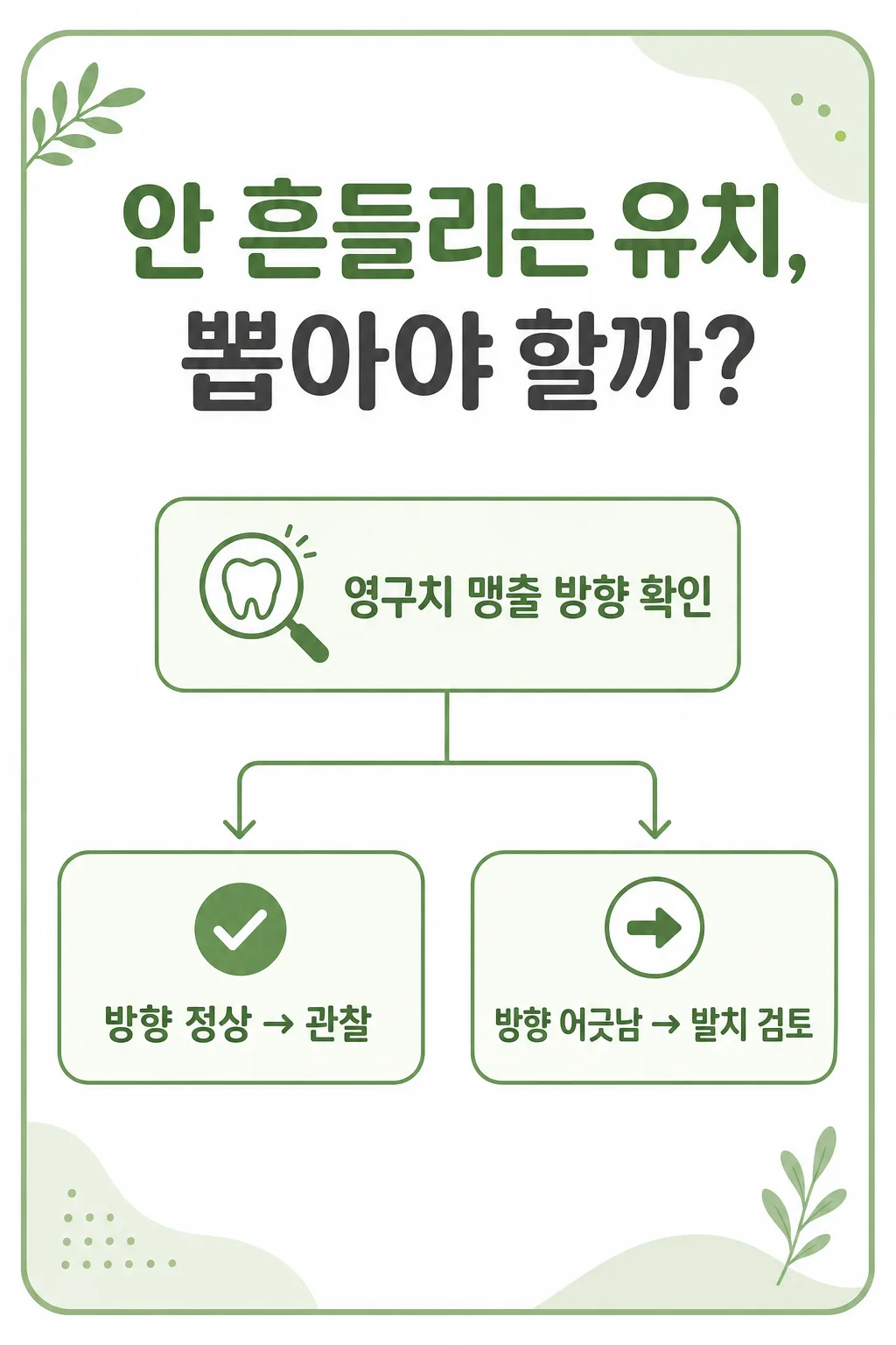 안 흔들리는 유치 발치 판단 흐름 인포그래픽: 영구치 방향이 정상이면 관찰, 어긋나면 발치 검토