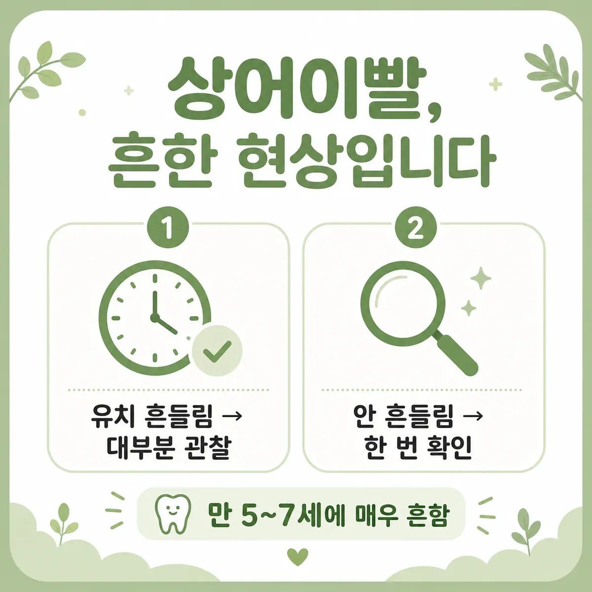 상어이빨이 흔한 이유와 지켜봐도 되는 기준 인포그래픽