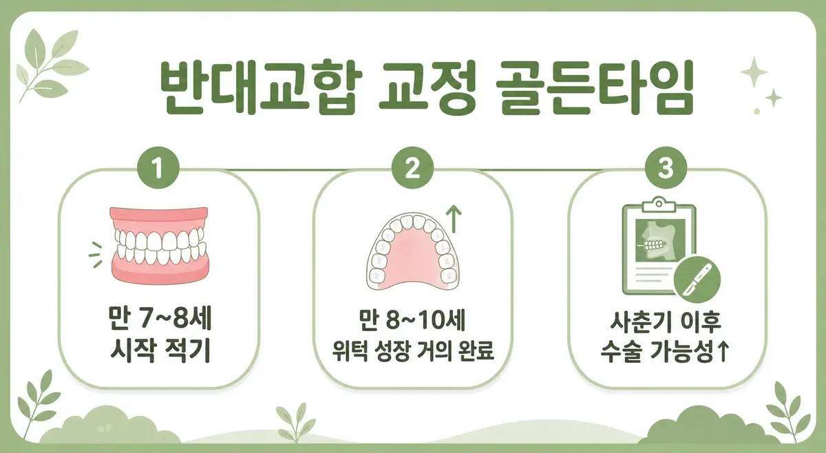 반대교합 교정 골든타임 타임라인 인포그래픽: 위턱 성장과 7~8세 적기