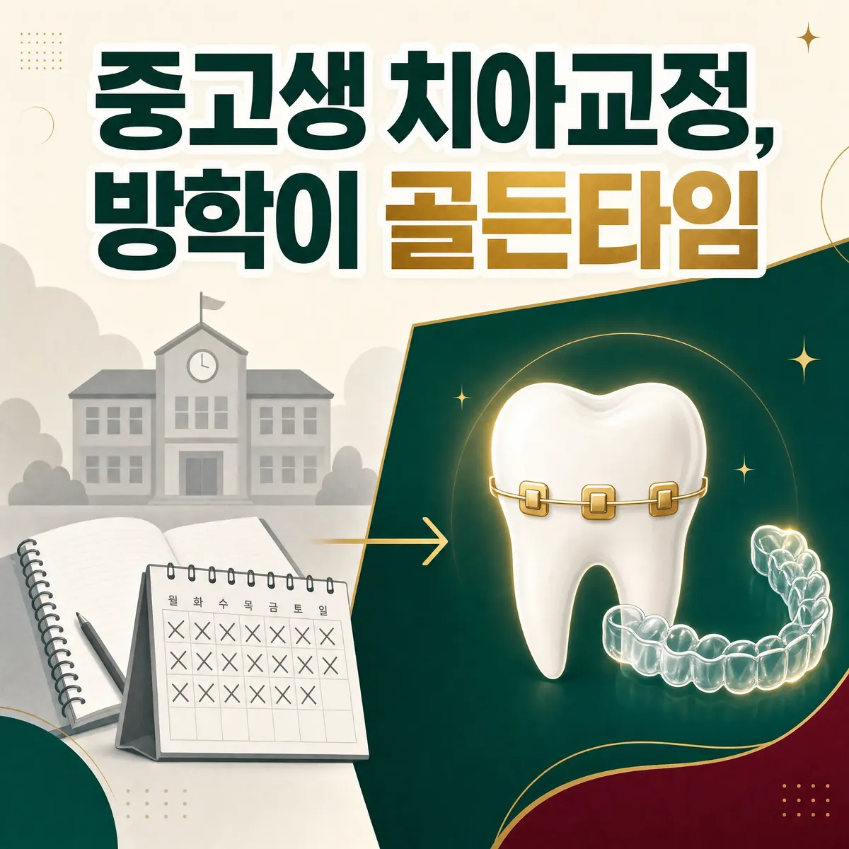 중고생 치아교정